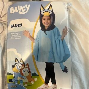 Blue Halloween costume. Never worn my daughter changed her mind